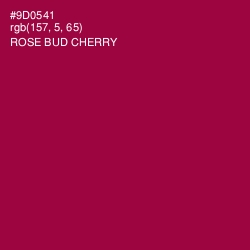 #9D0541 - Rose Bud Cherry Color Image