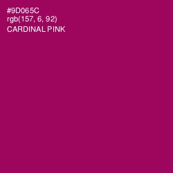 #9D065C - Cardinal Pink Color Image