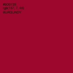 #9D072E - Burgundy Color Image