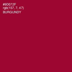 #9D072F - Burgundy Color Image