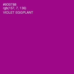 #9D0788 - Violet Eggplant Color Image