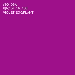 #9D108A - Violet Eggplant Color Image