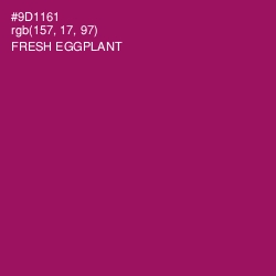 #9D1161 - Fresh Eggplant Color Image