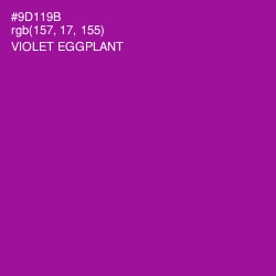 #9D119B - Violet Eggplant Color Image