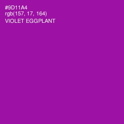#9D11A4 - Violet Eggplant Color Image