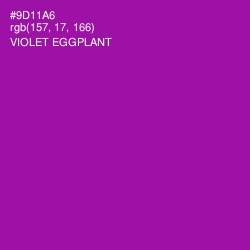 #9D11A6 - Violet Eggplant Color Image