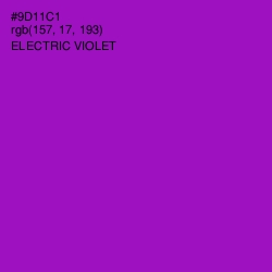 #9D11C1 - Electric Violet Color Image