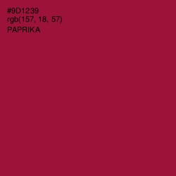 #9D1239 - Paprika Color Image