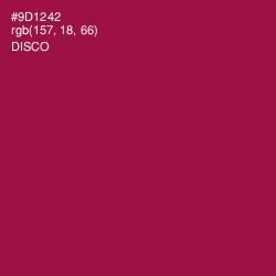 #9D1242 - Disco Color Image