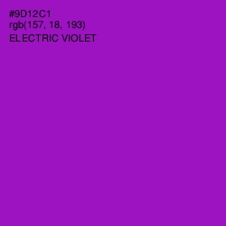 #9D12C1 - Electric Violet Color Image