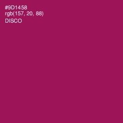 #9D1458 - Disco Color Image