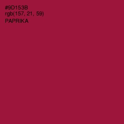 #9D153B - Paprika Color Image