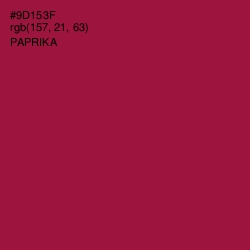 #9D153F - Paprika Color Image