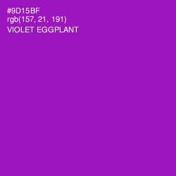 #9D15BF - Violet Eggplant Color Image