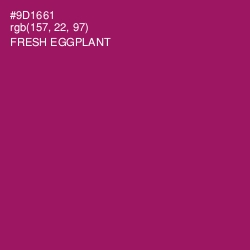 #9D1661 - Fresh Eggplant Color Image