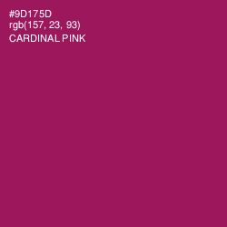 #9D175D - Cardinal Pink Color Image
