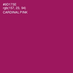 #9D175E - Cardinal Pink Color Image