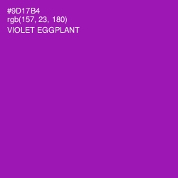 #9D17B4 - Violet Eggplant Color Image