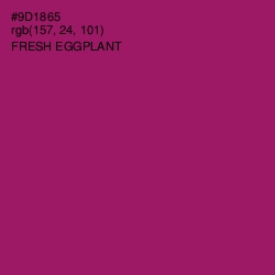 #9D1865 - Fresh Eggplant Color Image