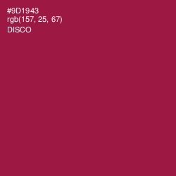 #9D1943 - Disco Color Image
