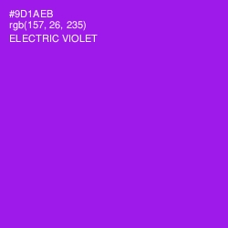 #9D1AEB - Electric Violet Color Image