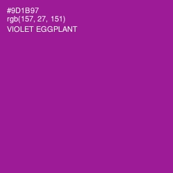 #9D1B97 - Violet Eggplant Color Image