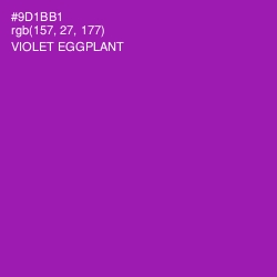 #9D1BB1 - Violet Eggplant Color Image