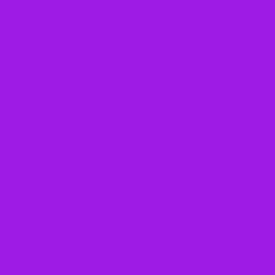 #9D1BE4 - Electric Violet Color Image