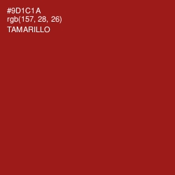 #9D1C1A - Tamarillo Color Image
