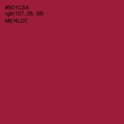 #9D1C3A - Merlot Color Image