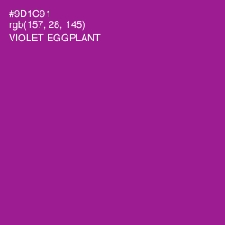 #9D1C91 - Violet Eggplant Color Image