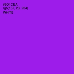 #9D1CEA - Electric Violet Color Image