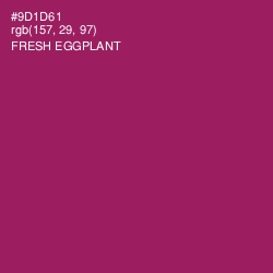 #9D1D61 - Fresh Eggplant Color Image
