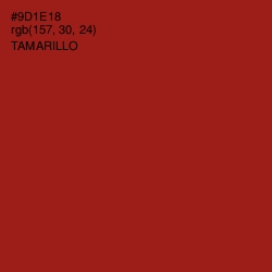 #9D1E18 - Tamarillo Color Image