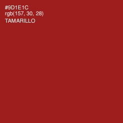 #9D1E1C - Tamarillo Color Image