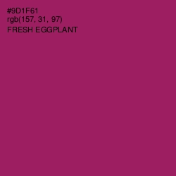 #9D1F61 - Fresh Eggplant Color Image