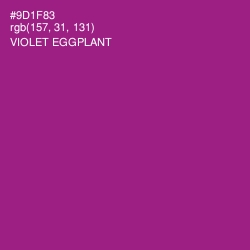 #9D1F83 - Violet Eggplant Color Image