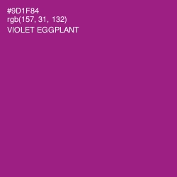 #9D1F84 - Violet Eggplant Color Image