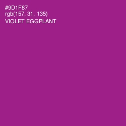 #9D1F87 - Violet Eggplant Color Image