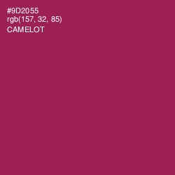 #9D2055 - Camelot Color Image