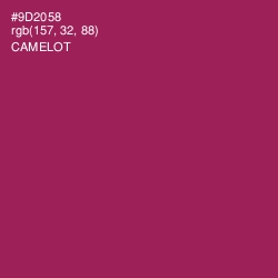 #9D2058 - Camelot Color Image