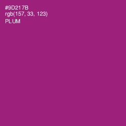 #9D217B - Plum Color Image