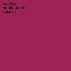 #9D2355 - Camelot Color Image