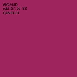 #9D245D - Camelot Color Image