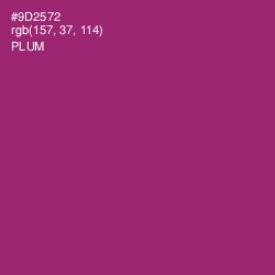 #9D2572 - Plum Color Image