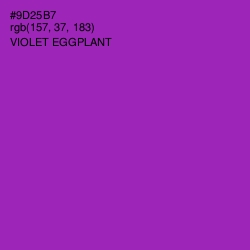 #9D25B7 - Violet Eggplant Color Image