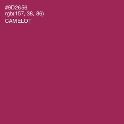 #9D2656 - Camelot Color Image