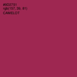 #9D2751 - Camelot Color Image