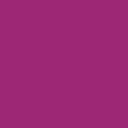#9D2775 - Plum Color Image