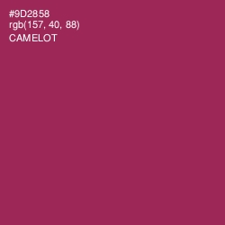 #9D2858 - Camelot Color Image